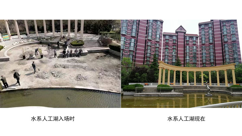 水系人工湖改造