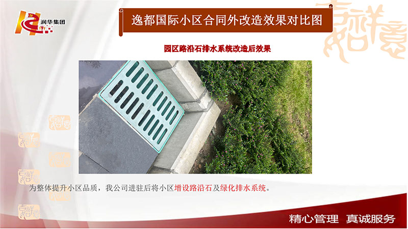 园区路沿石排水系统改造