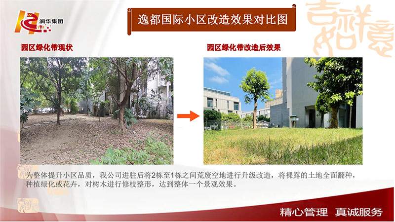 园区绿化带改造
