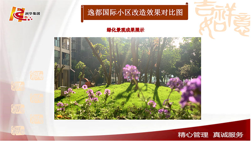 绿化景观成果展示