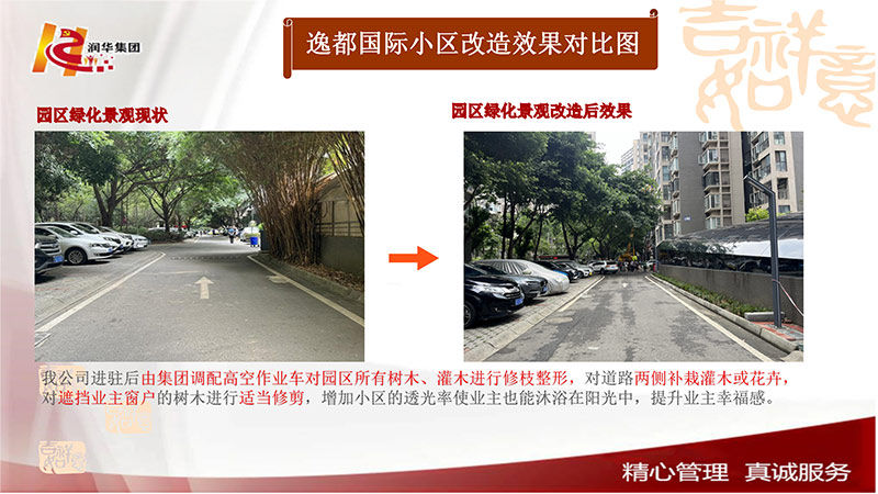 园区绿化景观改造