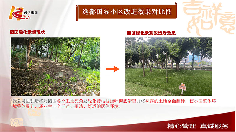 园区绿化景观改造