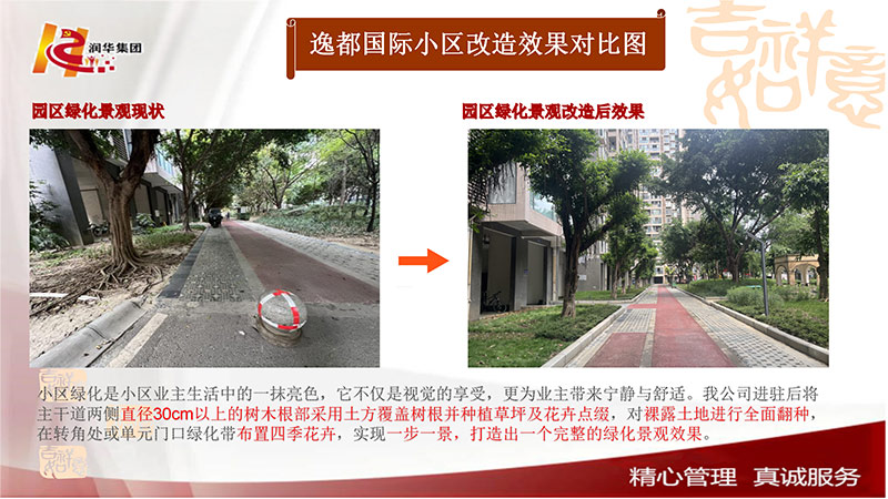园区绿化景观改造